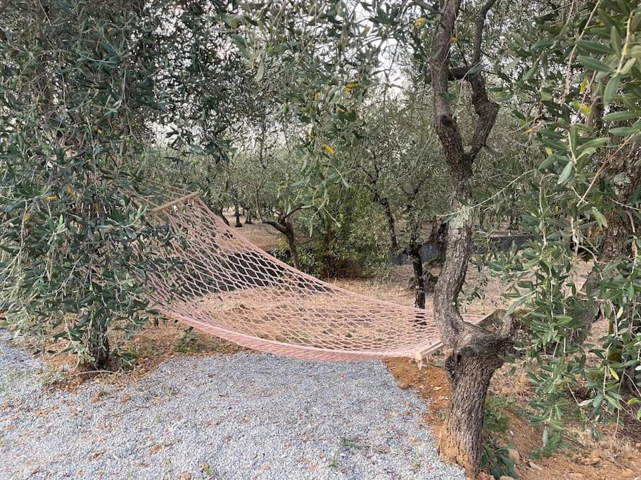 Il Fienile Di Alberto E Costanza Лукка Экстерьер фото